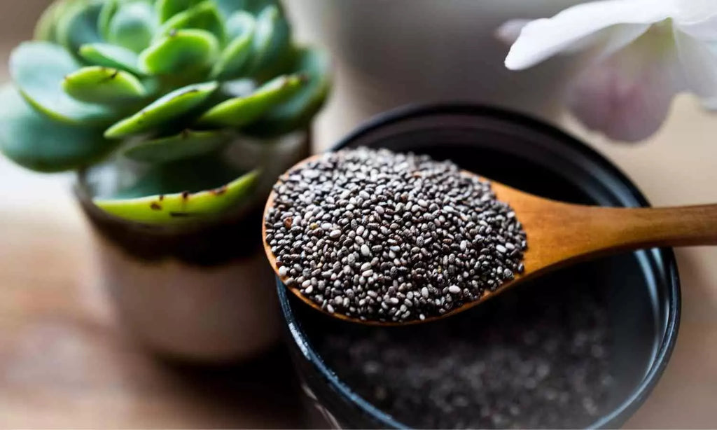 Exploring the Benefits of Chia Seeds for Gut Health