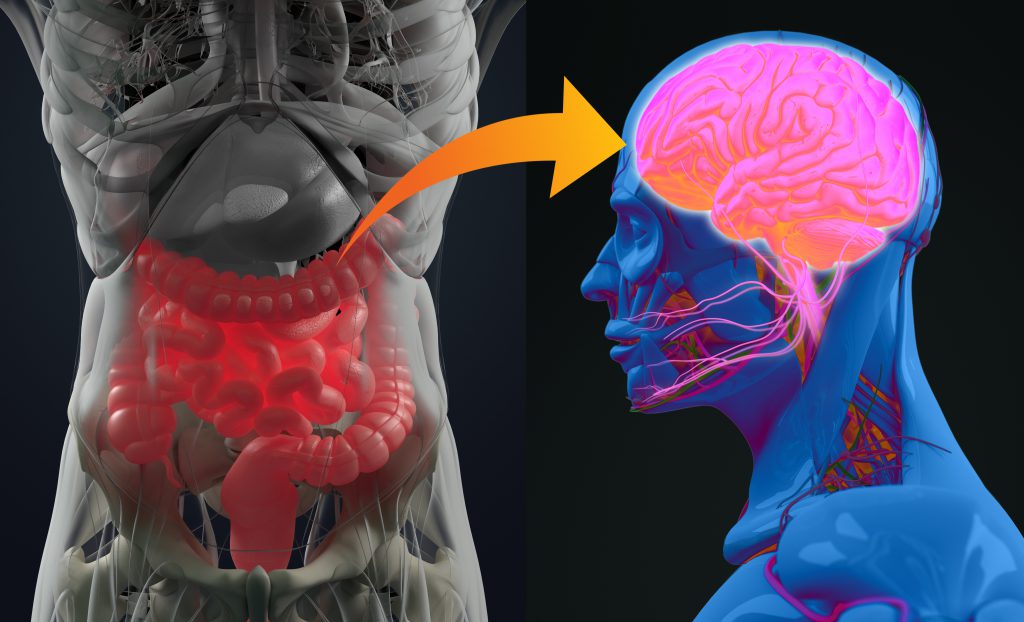 Unpacking the Gut-Brain Axis